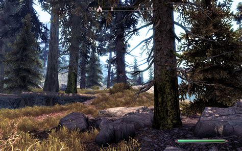 Realistic Pine Trees At Skyrim Nexus Mods And Community