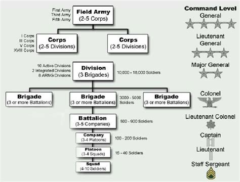 How The Us Army Is Organized Army Structure Army Military Divisions
