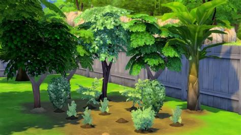 Plantes Récoltables Pour Les Sims 4 En Français Candyman Gaming