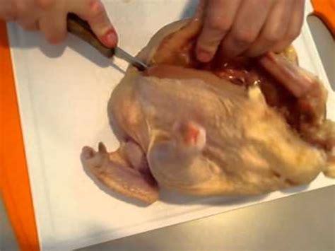 Maybe you would like to learn more about one of these? Cutting a whole chicken in half - YouTube