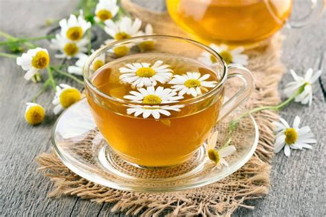 Benefits Of Chamomile Tea Zdioy