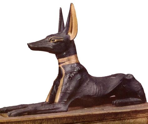 Art Ancient Egypt Temples Architecture And Monuments Anubis