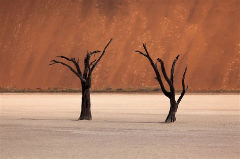 Two Trees World Photography Image Galleries By Aike M Voelker