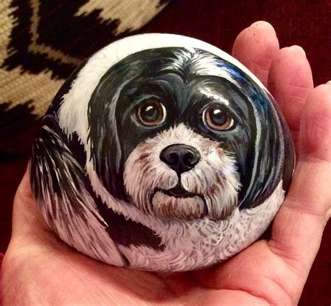 Dog Painted Rock Cat Painting Stone Painting Rock Painting Hand
