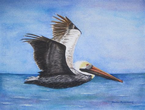 Flying Brown Pelican Beach Bird Painting By Barbararosenzweig