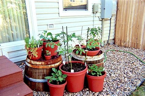 Urban Vegetable Gardening Ideas Hawk Haven