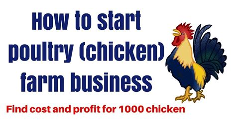 Poultry Farming How To Start Farm House