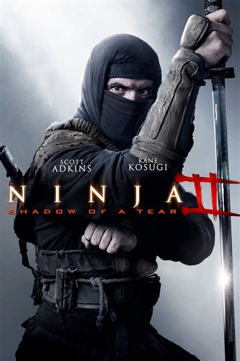 Ninja 2 Shadow Of A Tear ИᎥnja Fσrḉє •¨¨ Ninja Shadow Ninja