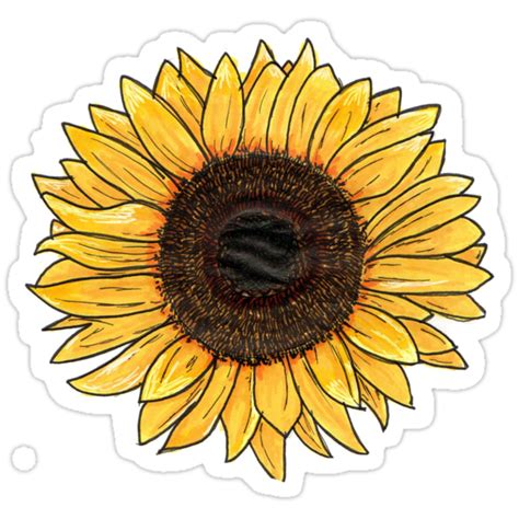 Sunflower Stickers By Egorringe Redbubble
