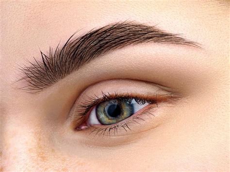 Grow Eyebrows 6 Tips For Perfect Brows Womens Alphabet
