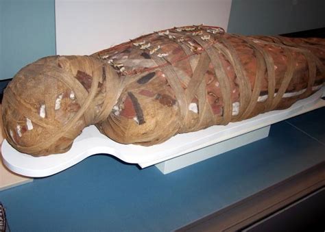 Mummies And Amulets Nen Gallery