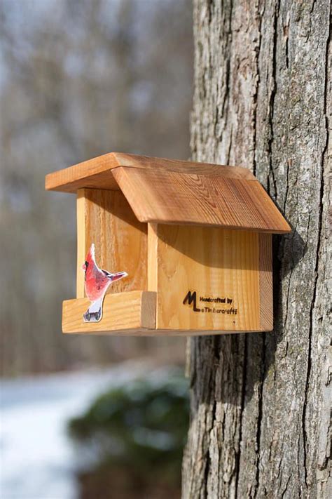 Northern Cardinal Cedar Bird House Etsy Bird House Cardinal Bird