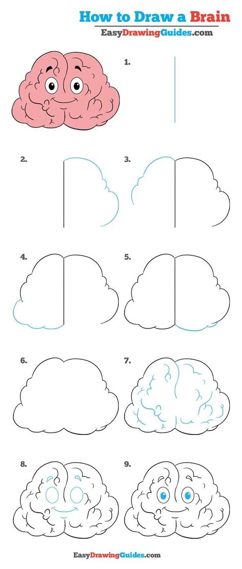 How to Draw a Brain - Really Easy Drawing Tutorial