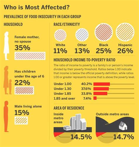 Food Insecurity On The Rise Infographic