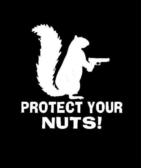 Protect Your Nuts Funny Window Decal Sticker For Cars And Trucks