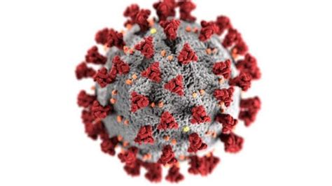 Covid 19 Mutasi Ganda Varian Virus Corona Ditemukan Di India Bbc