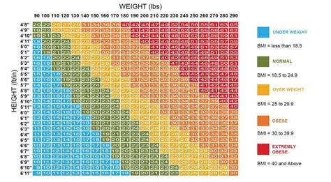 Bmi Calculator Body Mass Index Checker For Men Women And Kids