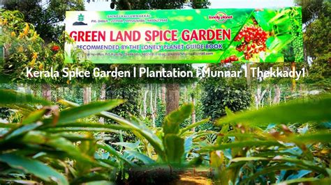 Kerala Spice Garden Plantation Munnar Thekkady Youtube