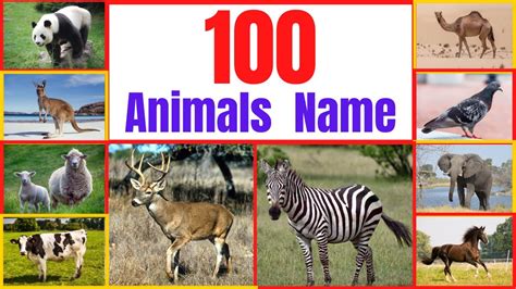 100 Animals Name Animals Name In English Animals Name Names Of