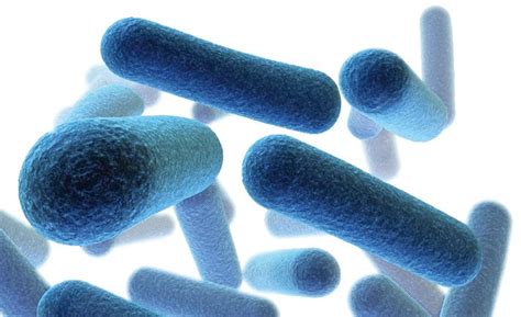 Antibiotic Resistance Of Bacteria Evolution In Action Answers In