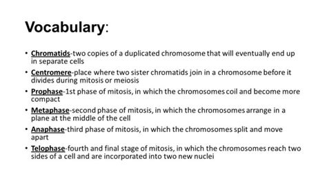 Organisms are constantly replenishing their cell supply and creating new cells to replace those that are old or damaged, as well as making cells to be used to create new organisms during sexual reproduction. Meiosis Worksheets Vocabulary Answers