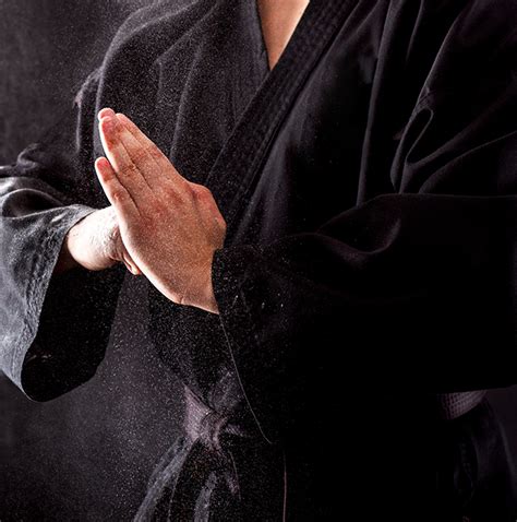 Ninjutsu Get Into Martial Arts