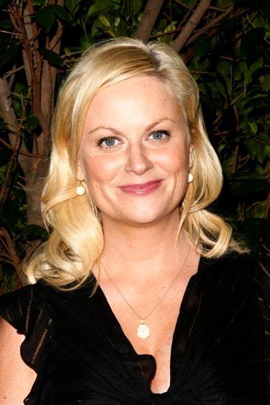 Cool Amy Poehler Hairstyles Extension With Hair Color 2017 Check More