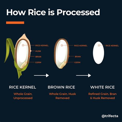 Brown Rice Vs White Rice Which One Is Better
