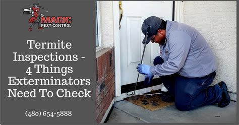 Prior to using servicepro, i had attempted several other pest control. Termite Inspections - 4 Things Exterminators Need To Check ...