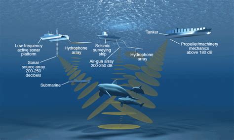 Marine Noise Pollution —image Source Download Scientific Diagram