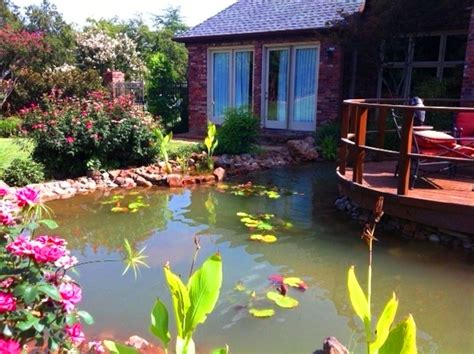 Koi Ponds Gallery Sublime Water Gardens