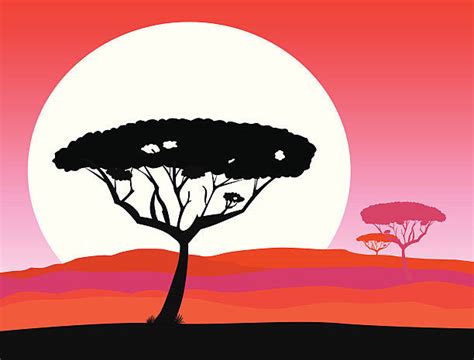 Serengeti National Park Illustrations Royalty Free Vector Graphics And Clip Art Istock