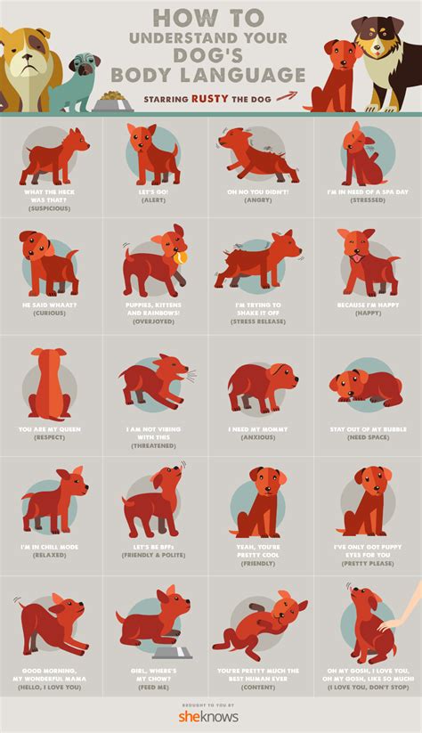 Printable Dog Body Language Chart