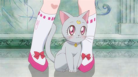 Sailor Moon Cats Wallpapers Top Free Sailor Moon Cats Backgrounds
