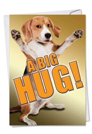 Lovely pressie for my daughter in law x. A Big Hug-Dog Petigreet Friendship Card Nobleworks
