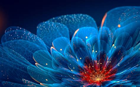 Abstract Fractal Flowers Blue Flowers Wallpapers Hd