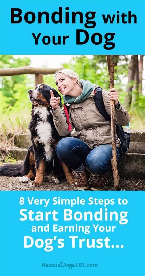 8 Very Simple Steps To Start Bonding With Your Dog And Earning His