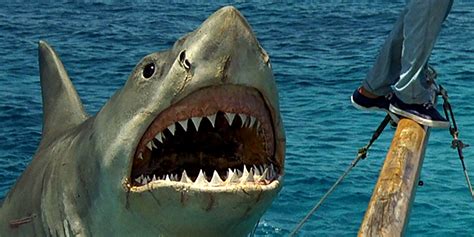 The following weapons were used in the film jaws: Jaws' Shark Is A Voodoo Curse, According to The Revenge's ...