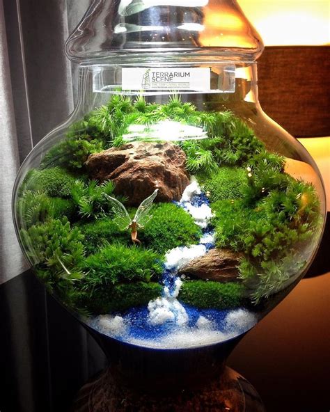 Luckily indulgence from a fussy grower will speed an upturned fish tank makes a good terrarium as does the humble pet bottle with the bottom cut out. 228 Likes, 11 Comments - TerrariumScene (@terrariumscene ...