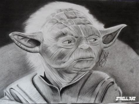 Yoda Charcoal Portrait Star Wars Charcoal Pencil Ink Drawings