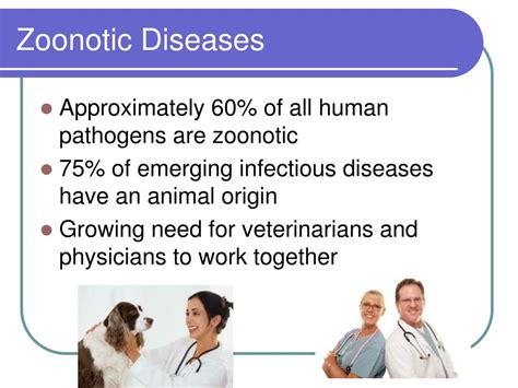 Examples Of Zoonotic Diseases