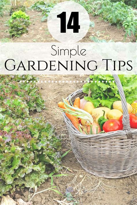 14 Simple Gardening Tips Tips To Help Your Garden Thrive