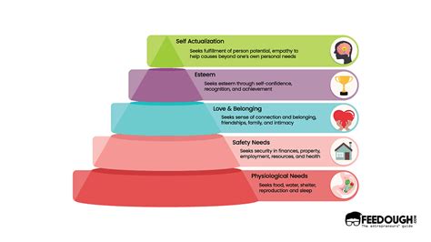 Maslows Hierarchy Of Needs Explained Feedough