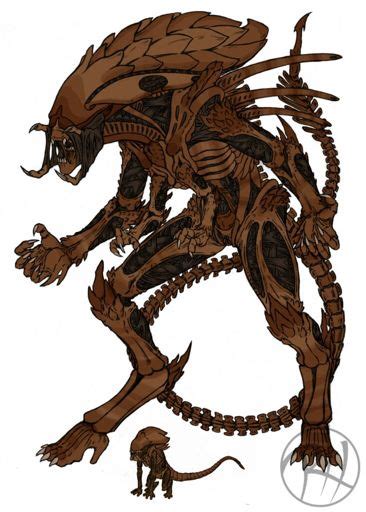 Predalien Queen Wiki Alien Versus Predator Universe Amino