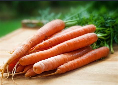 Carrotgajar Health Benefits Application Chemical Constituents And