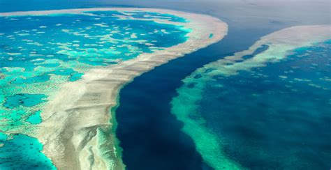 Take A Virtual Tour Of The Great Barrier Reef Guided By David