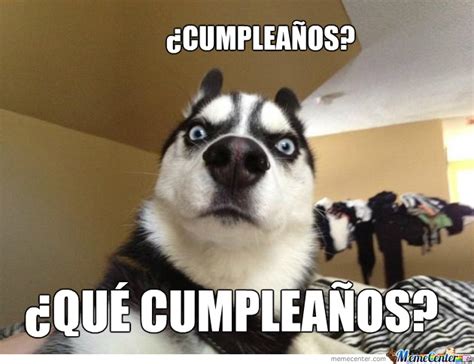 Los Diez Memes Más Divertidos Para Felicitar El Cumpleaños Por Whatsapp