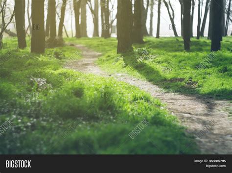 Path Running Among Image And Photo Free Trial Bigstock