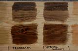 Photos of English Walnut Wood Stain