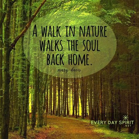 Image Result For Nature Quotes Nature Quotes Love Nature Quotes